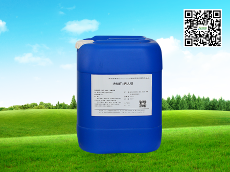 PMIT—PLUS