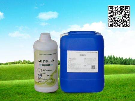 MIT—PLUS