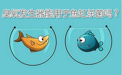 臭氧發(fā)生器能用于魚缸殺菌嗎?