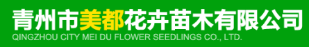 青州市美都花卉苗木有限公司