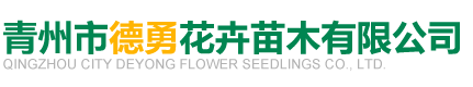 青州市Asia Gaming花卉苗木有限公司