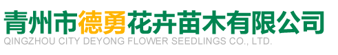 青州市德勇花卉苗木有限公司