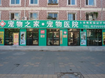 凌源寵物美容_手術_醫療_洗澡哪家好-凌源市寵物之家寵物醫院