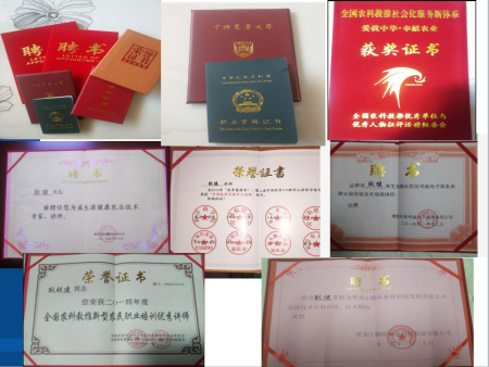 榮獲證書 榮獲證書