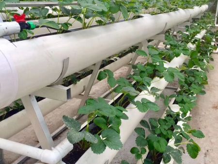 微信图片_20180611160354