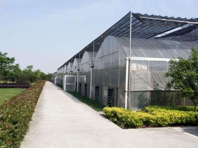 广西农膜厂家丨农用大棚膜丨地膜丨功能膜丨砂糖桔专用膜_桂林市国科农资有限公司