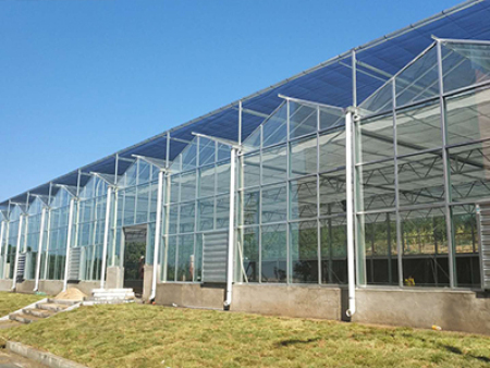 钢构大棚