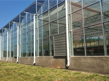 钢构大棚