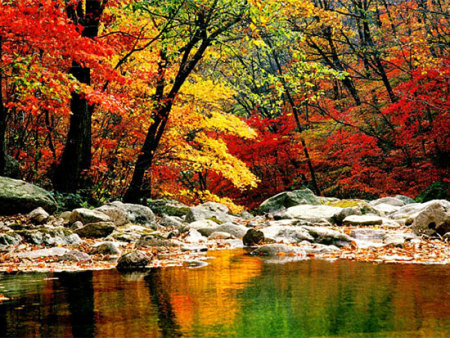 丹东天桥沟国家森林公园