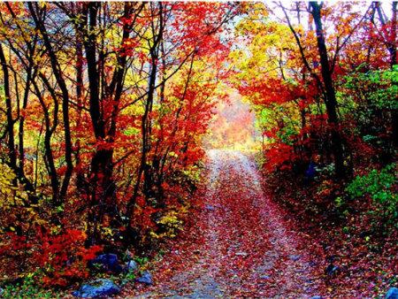 丹东天桥沟国家森林公园