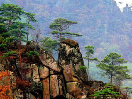 丹东天桥沟国家森林公园