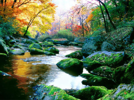 丹东天桥沟国家森林公园