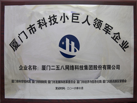 廈門市科技小巨人領(lǐng)軍企業(yè)