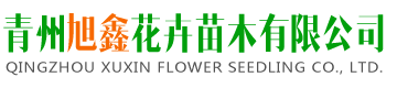 青州旭鑫花卉苗木有限公司