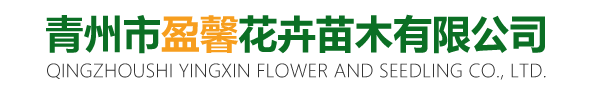 青州市盈馨花卉苗木有限公司