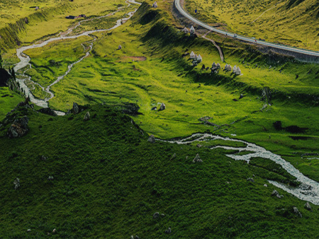 奶牛育成牛的饲养管理技术