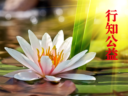 学校公益活动