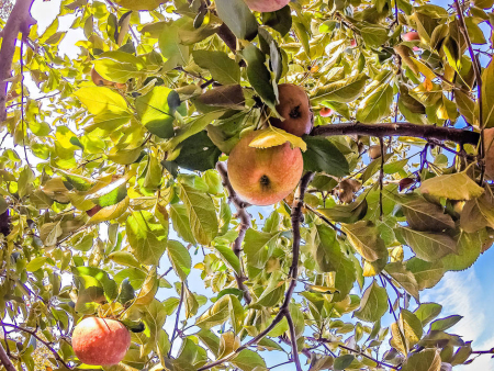 减少化肥流失的方法