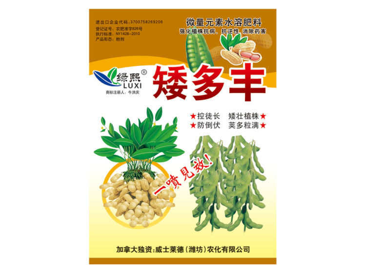 矮多丰