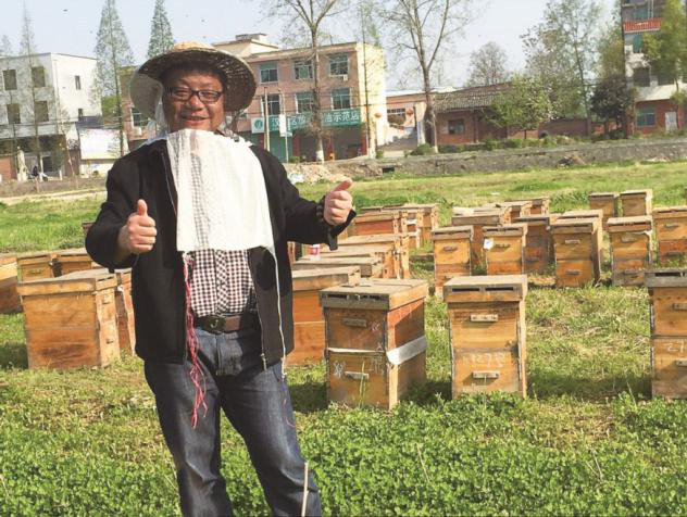 油菜花粉的典型功用(一)
