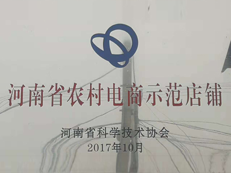 河南省农村电商示范店铺