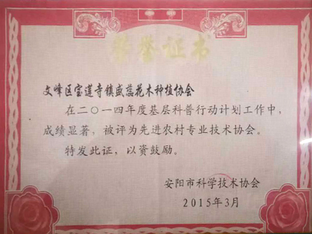 安阳市科学技术协会荣誉证书