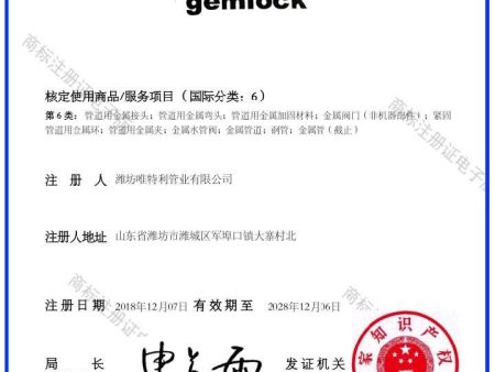 GemLock商标注册证