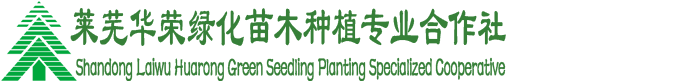 萊蕪華榮綠化苗木種植專業合作社