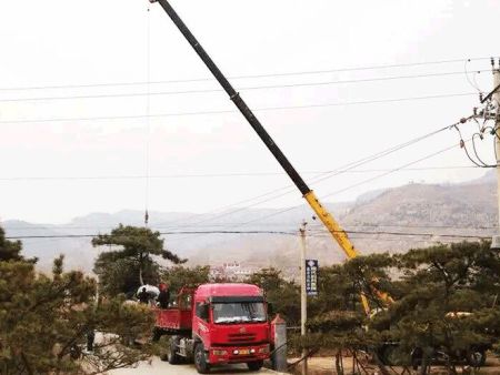 造型松價(jià)格優(yōu)惠銷售啦