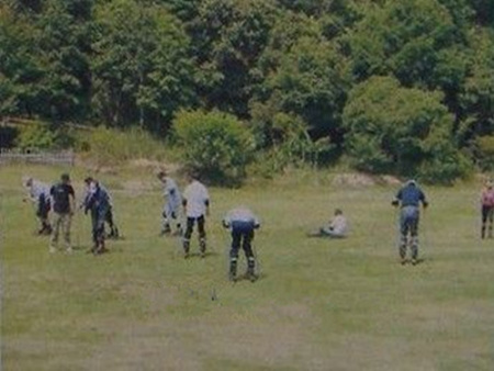 颐和槐树林生态森林公园