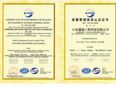 质量管理体质认证证书
