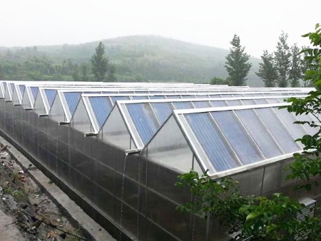 光伏温室大棚