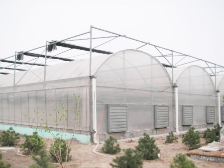 薄膜连栋温室