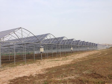 光伏温室大棚