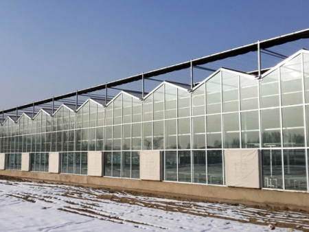 玻璃大棚