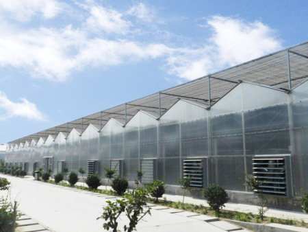 PC板连栋温室