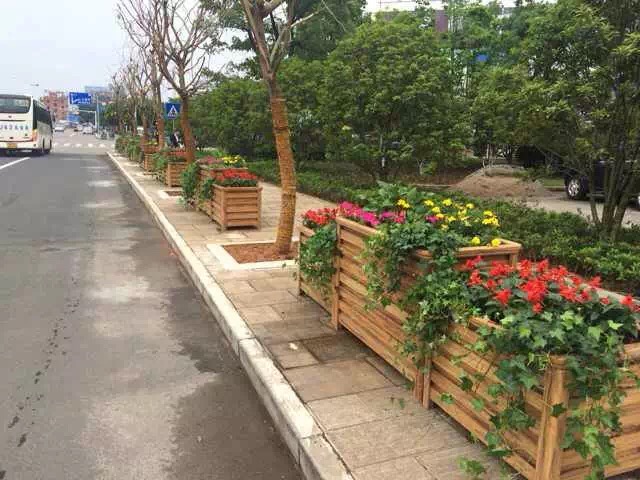 內(nèi)蒙市政園林園藝植物病蟲害防治