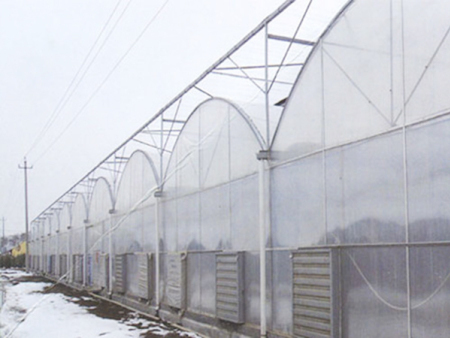 连栋温室管理的方法：