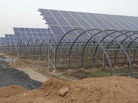 光伏温室大棚