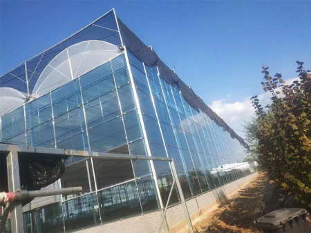 建设温室大棚需要考虑的因素
