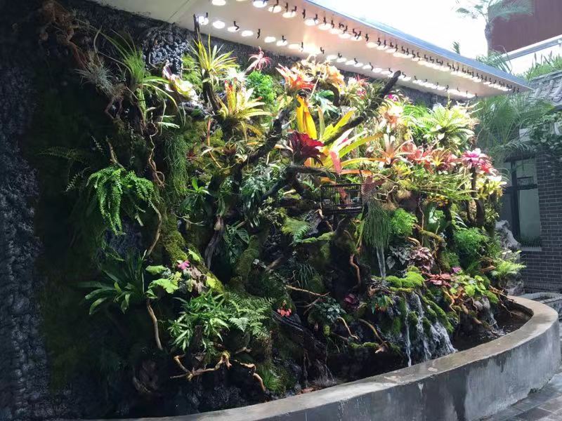 天津微雨林：室内植物墙设计需要考虑哪些要点？