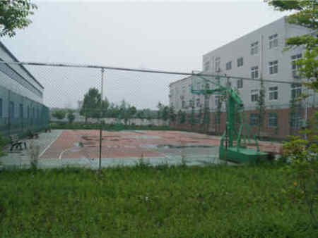 篮球场