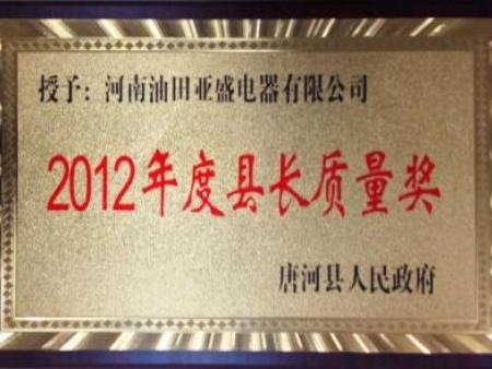 2012年度县长质量奖