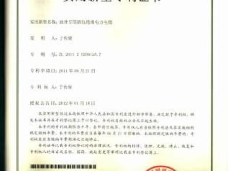 油井专用挤包绝缘电力电缆