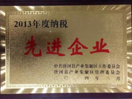 2013年纳税先进企业