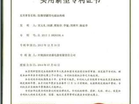 防爆型罐用电磁加热棒