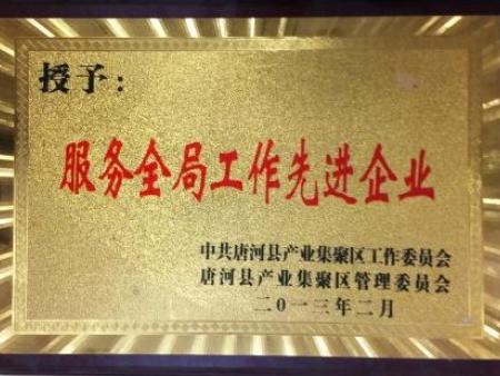 2013年服务全局工作先进企业