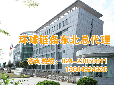 遼寧|沈陽鏈輪訂制廠家_環球鏈條東北總代理-沈陽中亞萬鑫鏈條鏈輪有限公司