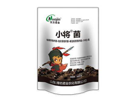 小將菌
