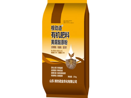 諾金活動(dòng)